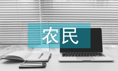 新生代農民工調查報告