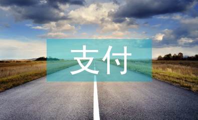 網(wǎng)上支付的優(yōu)缺點(diǎn)