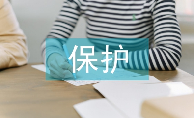 著作權(quán)保護論文