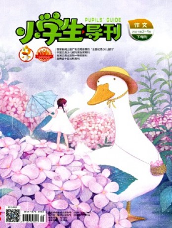 小學生導刊·高年級雜志